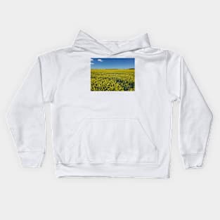 Canola field in bloom Kids Hoodie